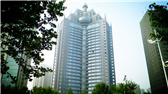 洛陽(yáng)開(kāi)元礦業(yè)集團(tuán)有限公司，始成立于2006年，主營(yíng)業(yè)務(wù)涵蓋礦產(chǎn)品貿(mào)易、礦山開(kāi)發(fā)、酒店服務(wù)、房地產(chǎn)開(kāi)發(fā)和金融投資等，集團(tuán)位于洛陽(yáng)市開(kāi)元大道世貿(mào)中心；中國(guó)民主建國(guó)會(huì)會(huì)員、青年企業(yè)家許明月先生是公司創(chuàng)始人和實(shí)際控制人，目前任洛陽(yáng)開(kāi)元礦業(yè)集團(tuán)有限公司董事長(zhǎng)兼總經(jīng)理。